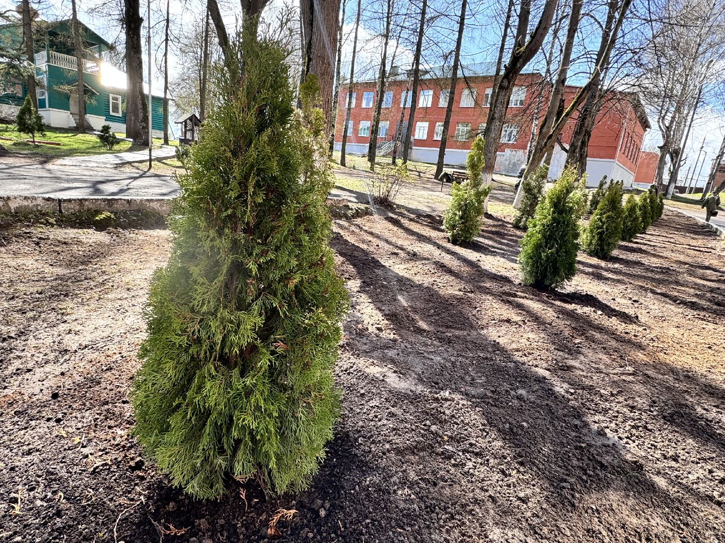 Солнечногорск, Субботник, Радумльский кадетский корпус, Кадеты, месячник чистоты,