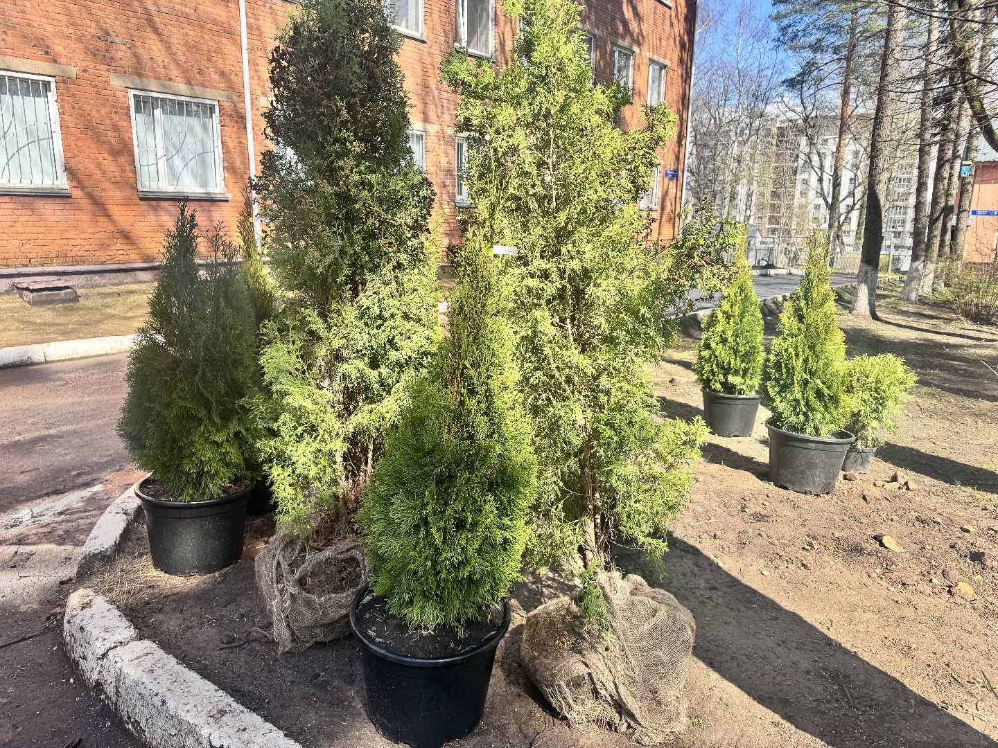 Солнечногорск, Субботник, Радумльский кадетский корпус, Кадеты, месячник чистоты,