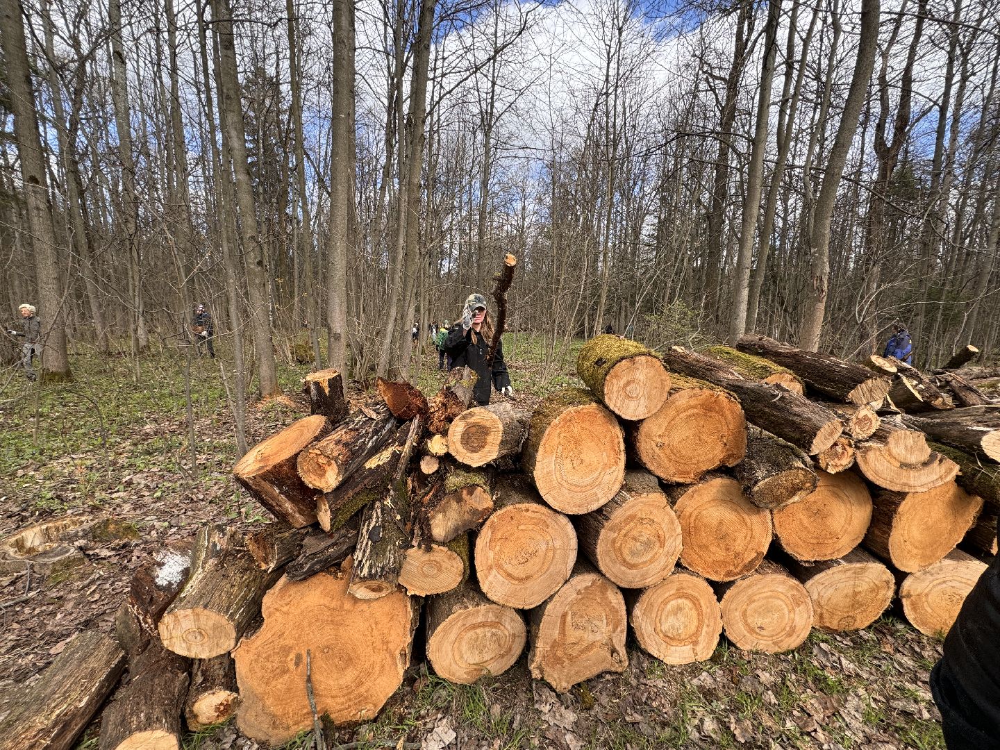 Одинцово, Субботник, Благоустройство,