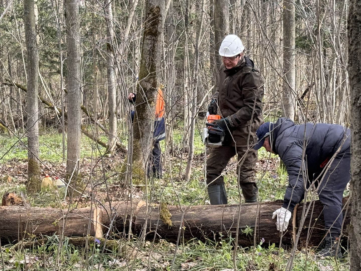 Одинцово, Субботник, Благоустройство,