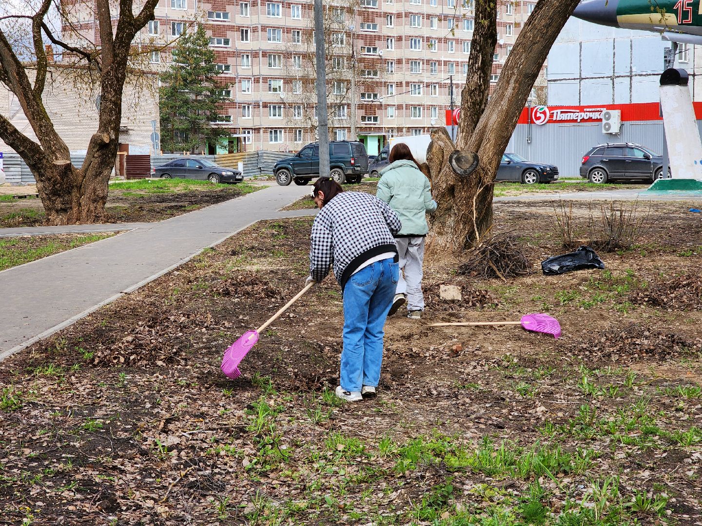 Ногинск, Полигон, Жители, Субботник, Удобка, Липовая аллея,