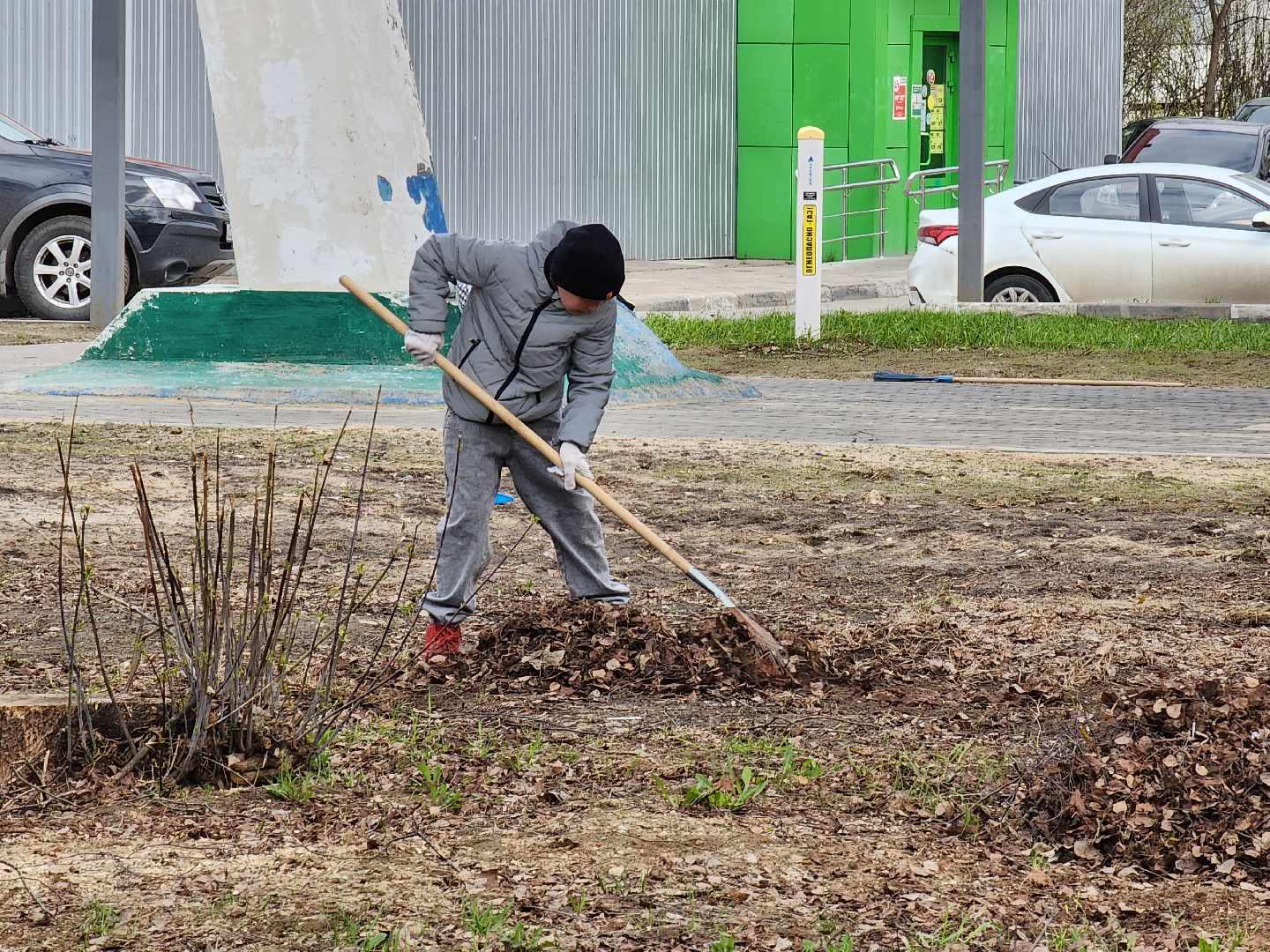 Ногинск, Полигон, Жители, Субботник, Удобка, Липовая аллея,