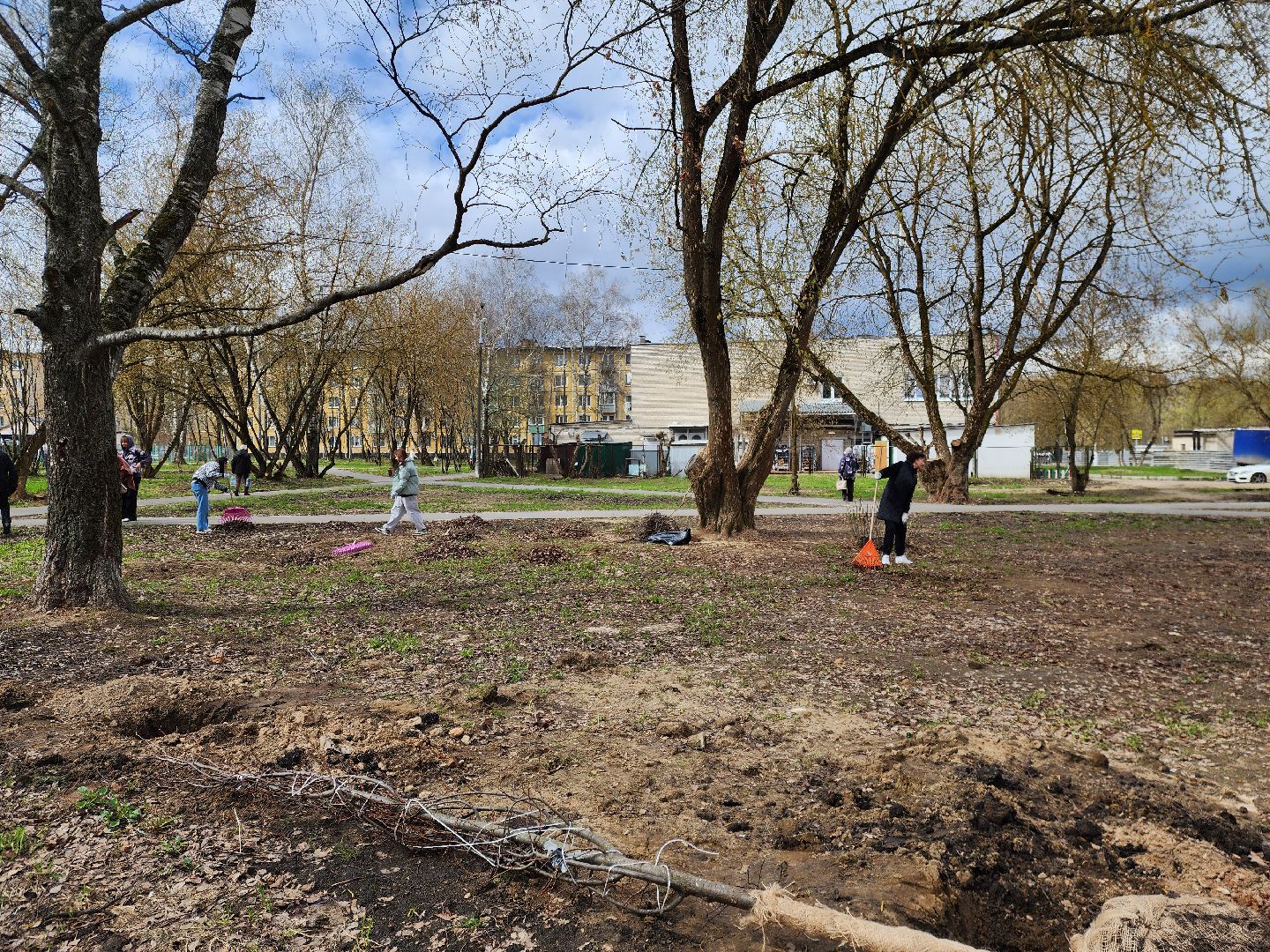 Ногинск, Полигон, Жители, Субботник, Удобка, Липовая аллея,