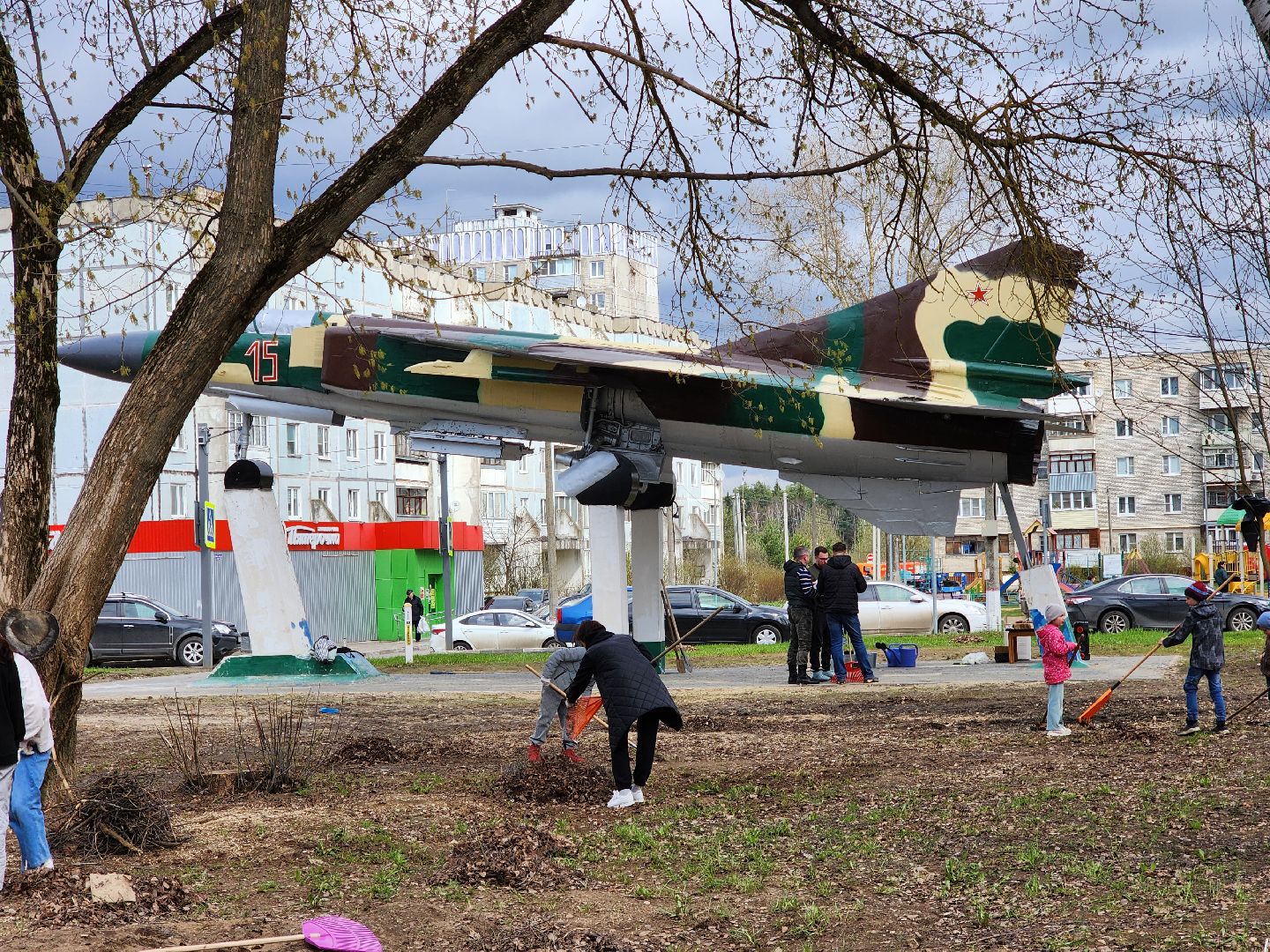 Ногинск, Полигон, Жители, Субботник, Удобка, Липовая аллея,