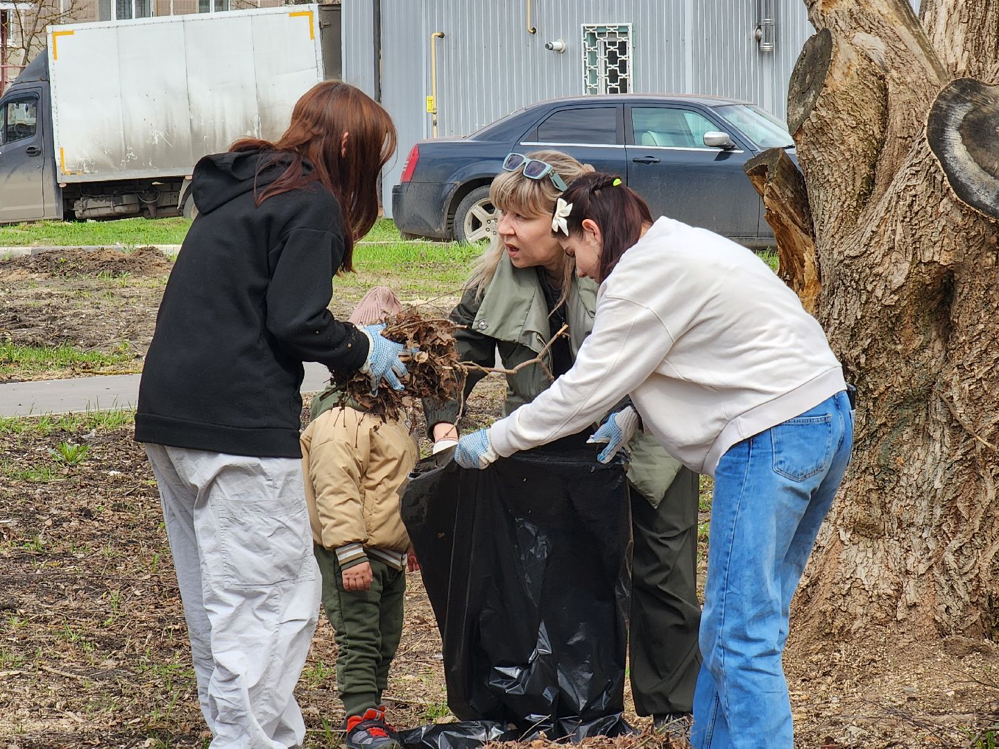 Ногинск, Полигон, Жители, Субботник, Удобка, Липовая аллея,