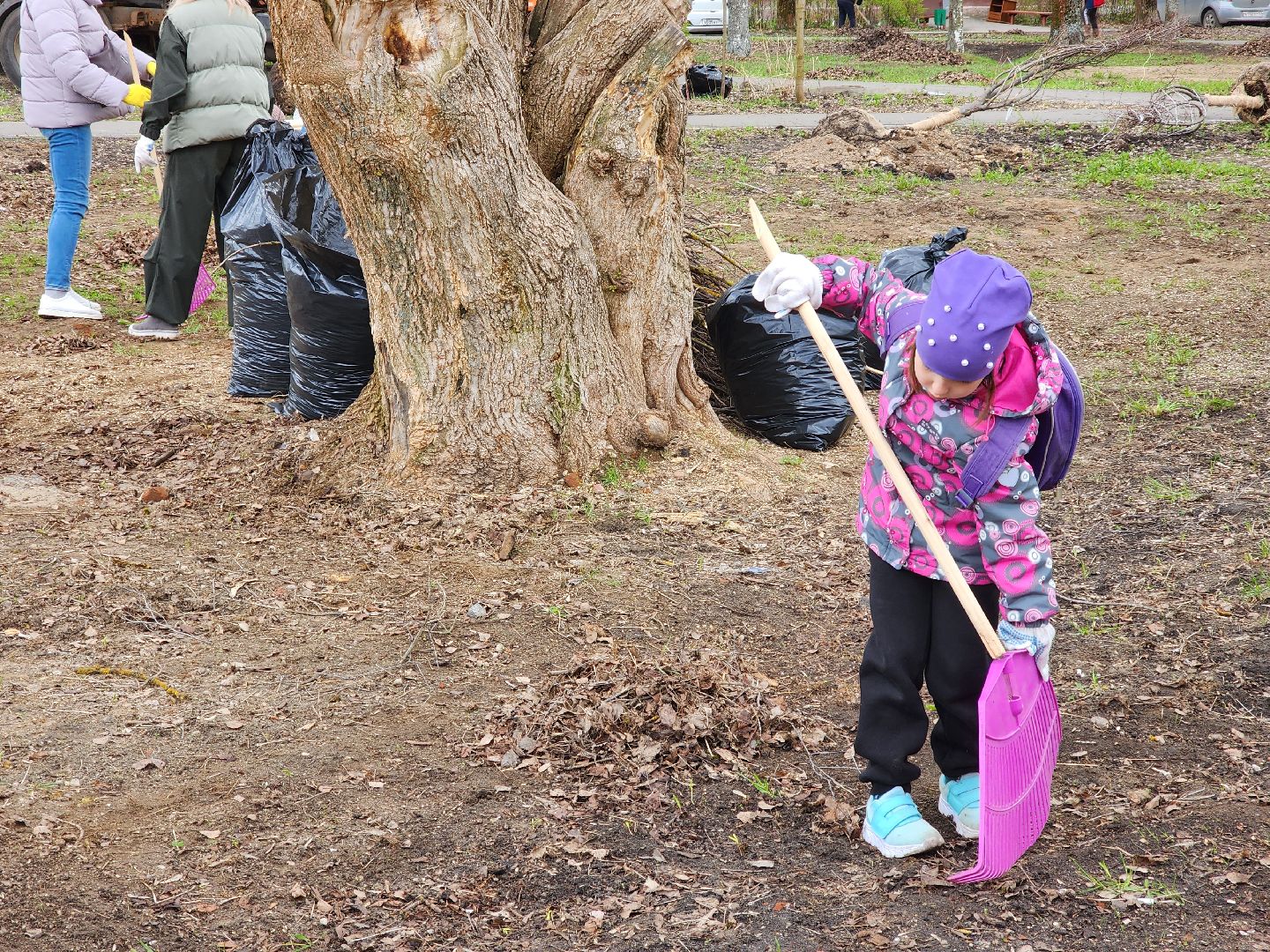 Ногинск, Полигон, Жители, Субботник, Удобка, Липовая аллея,