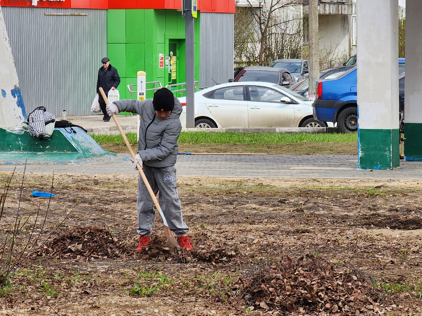 Ногинск, Полигон, Жители, Субботник, Удобка, Липовая аллея,