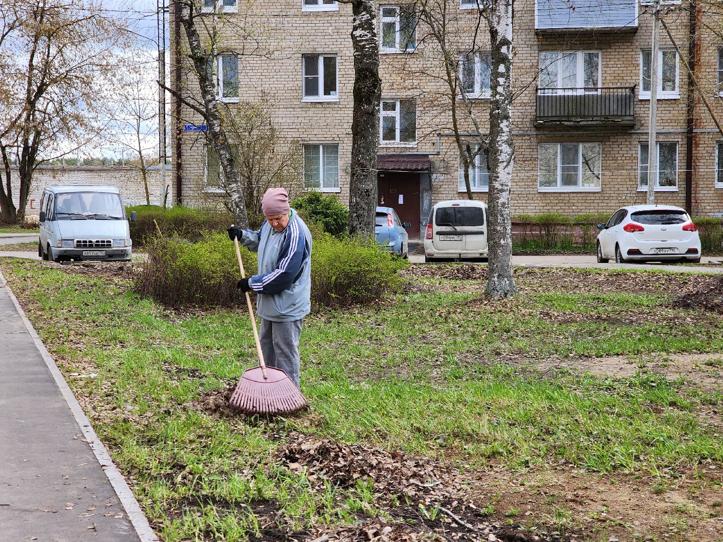 Ногинск, Полигон, Жители, Субботник, Удобка, Липовая аллея,