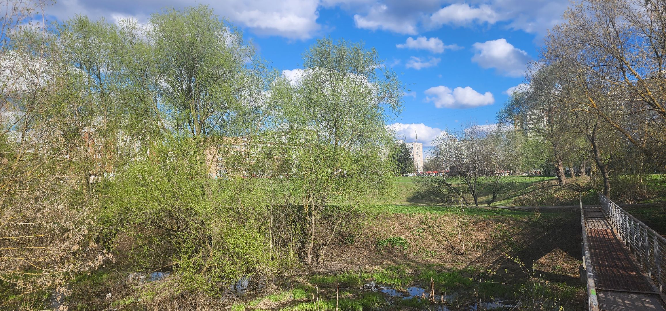 Коломна, субботник,