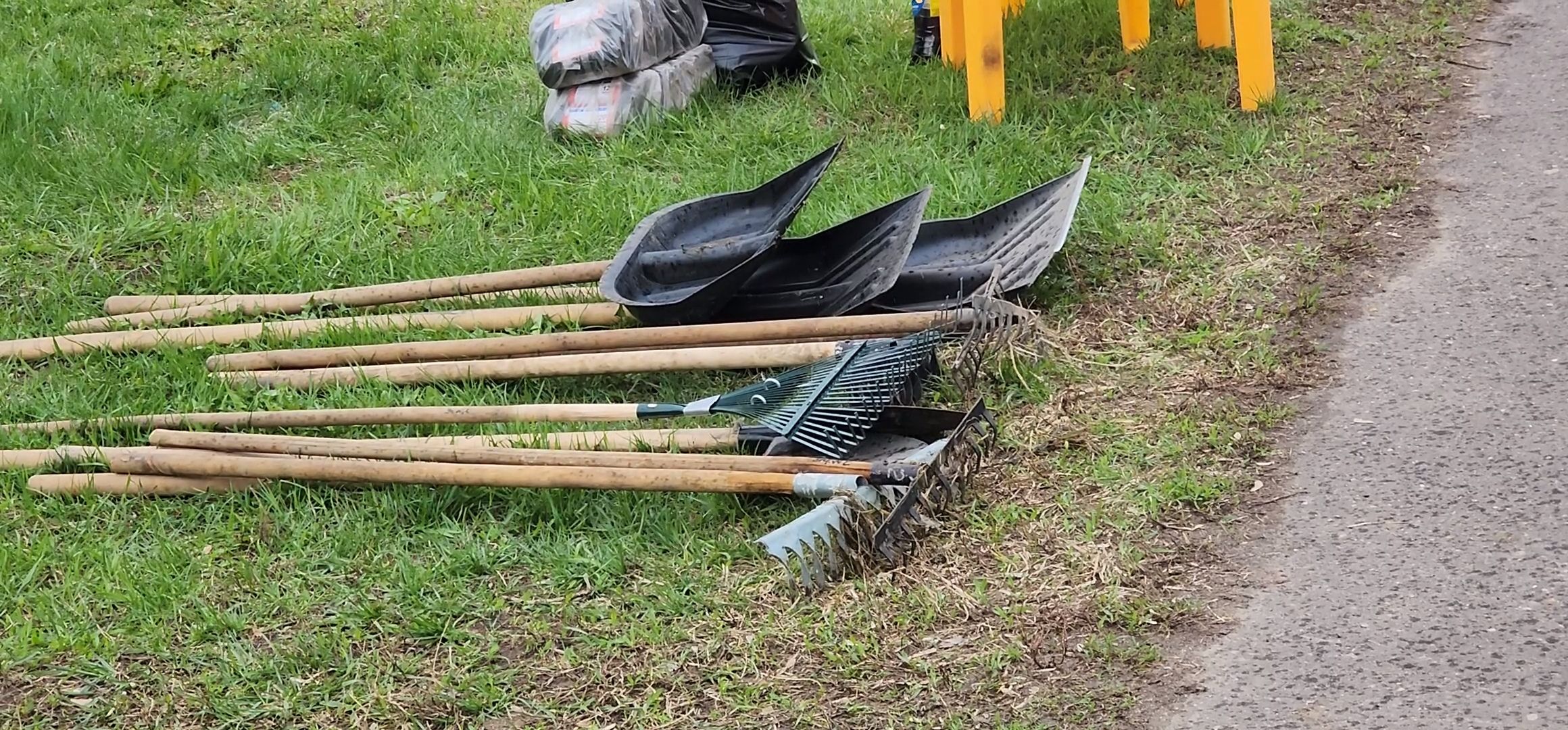 Коломна, субботник,