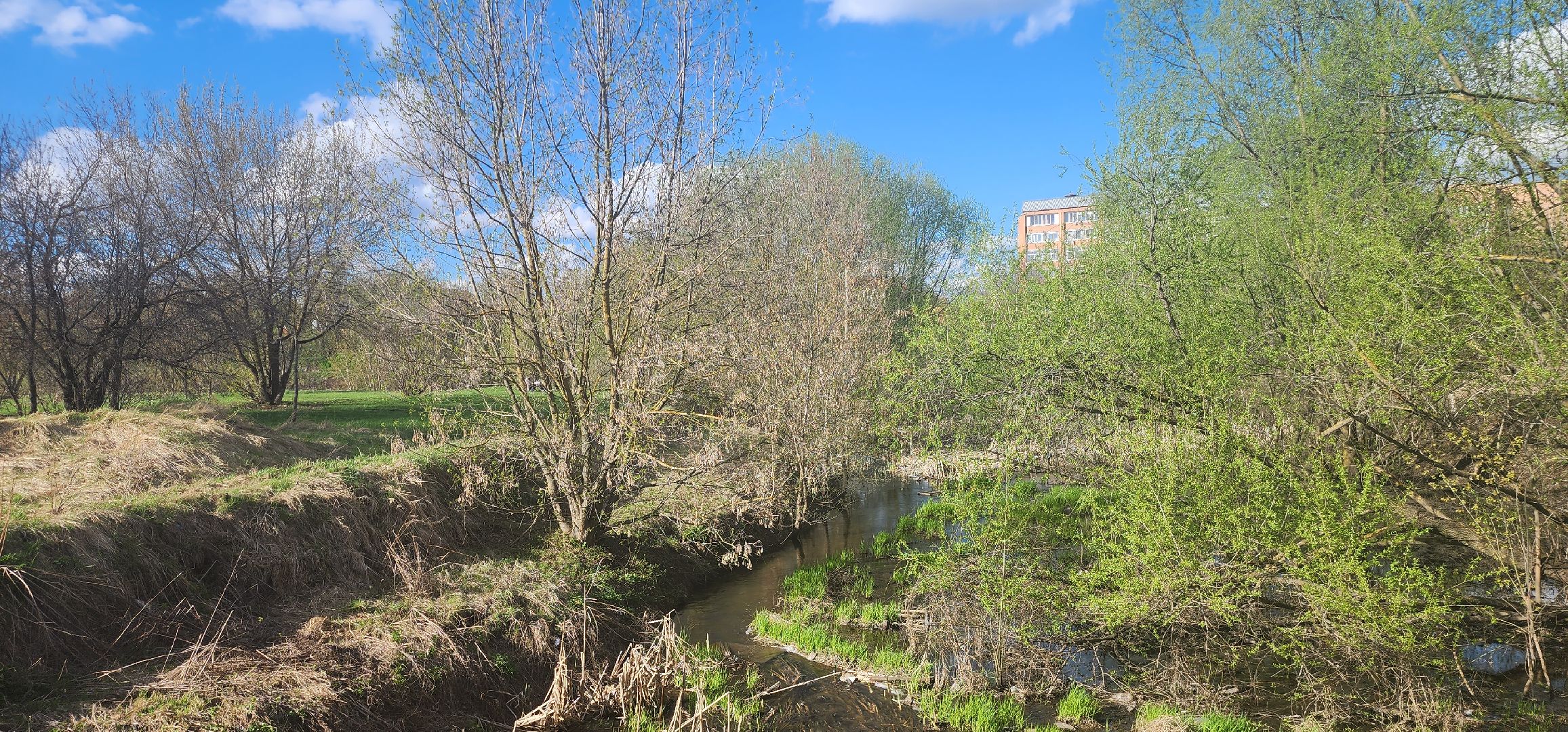 Коломна, субботник,