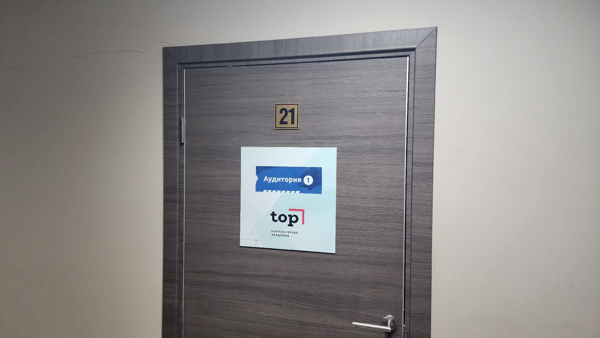 академия тор, Мария Бабушкина, ул гагарина, Жуковский филиал, Роблокс, Roblox, it сфера,