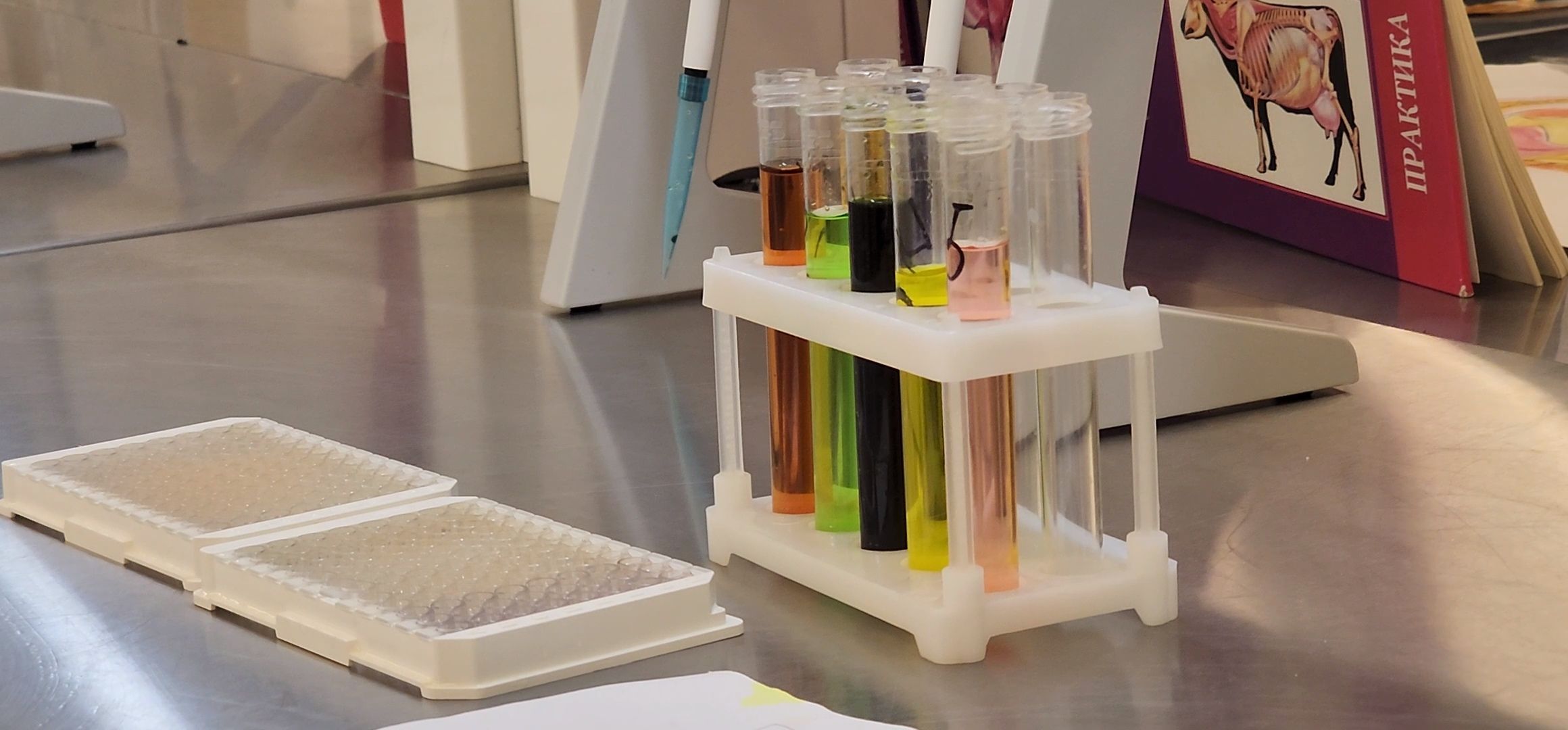 Коломна, день открытых дверей, коломенский аграрный колледж,