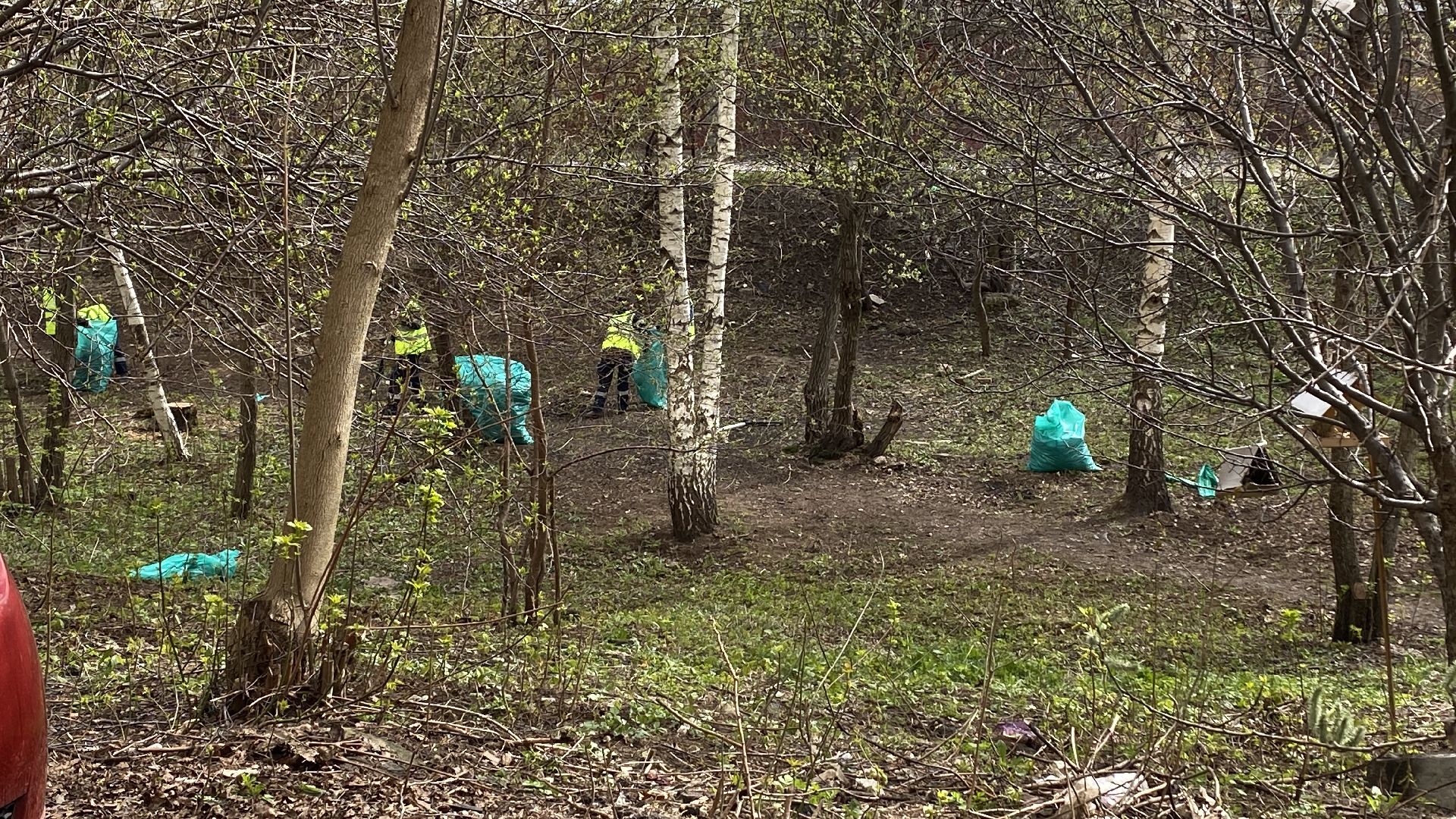 субботник, сквер, уборка города, уборка мусора, ленинский городской округ,
