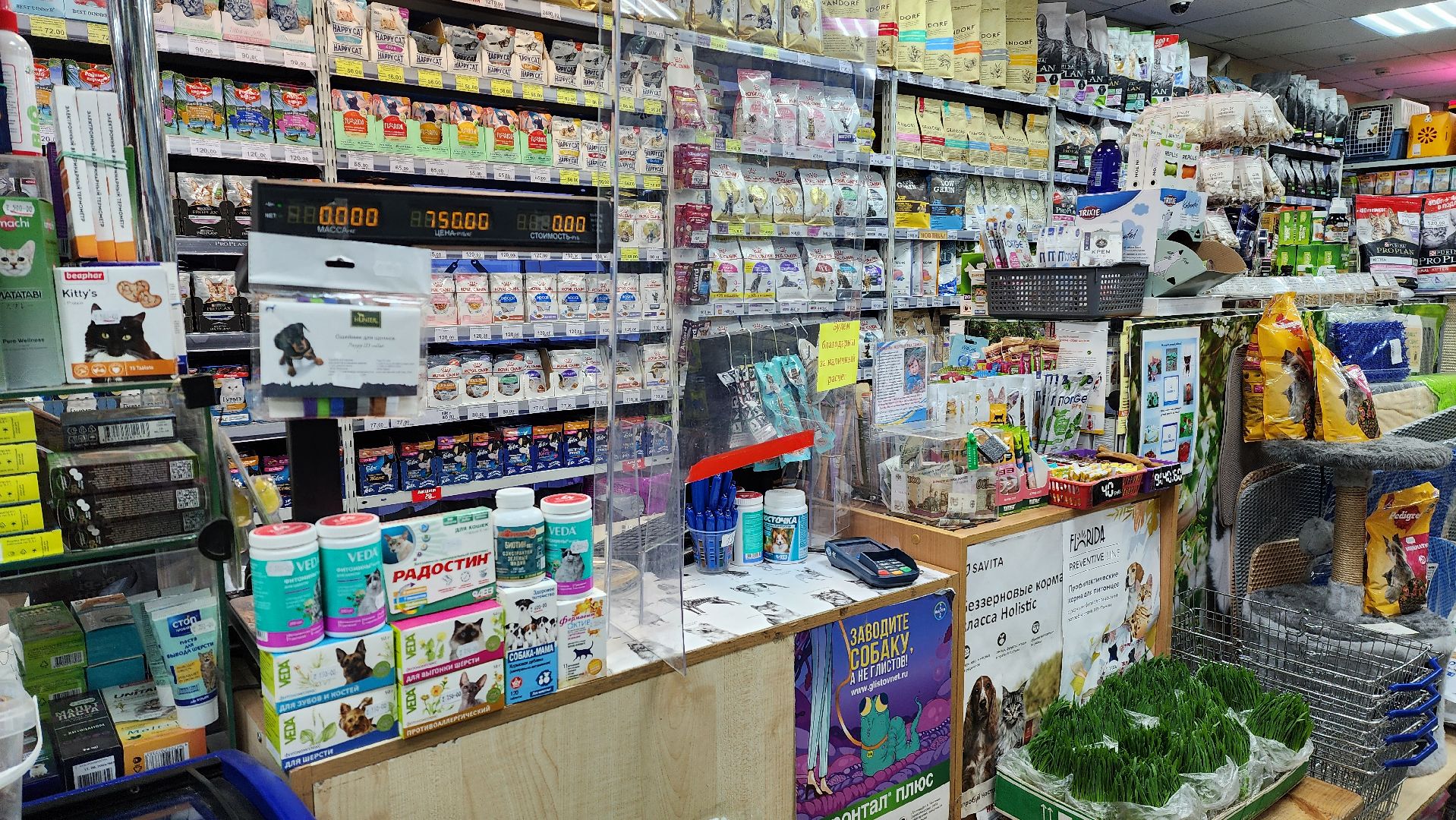 отключение электроэнергии, авария, лэп,