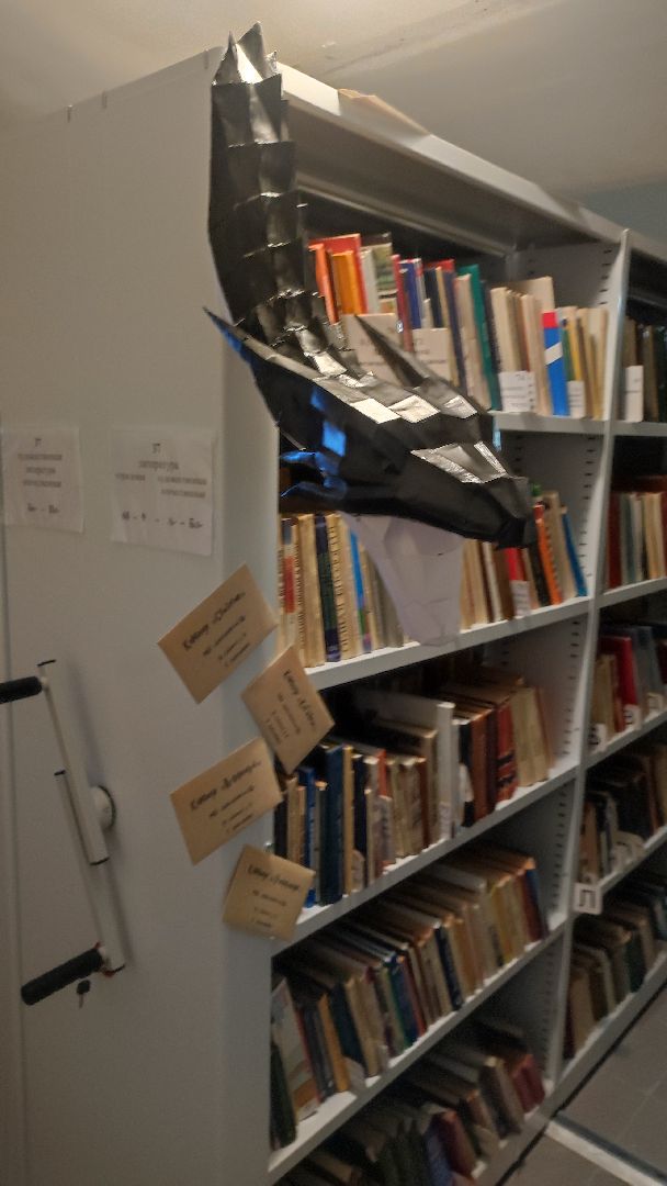 волоколамск, волоколамская библиотека, библионочь, квест, Гарри Поттер,