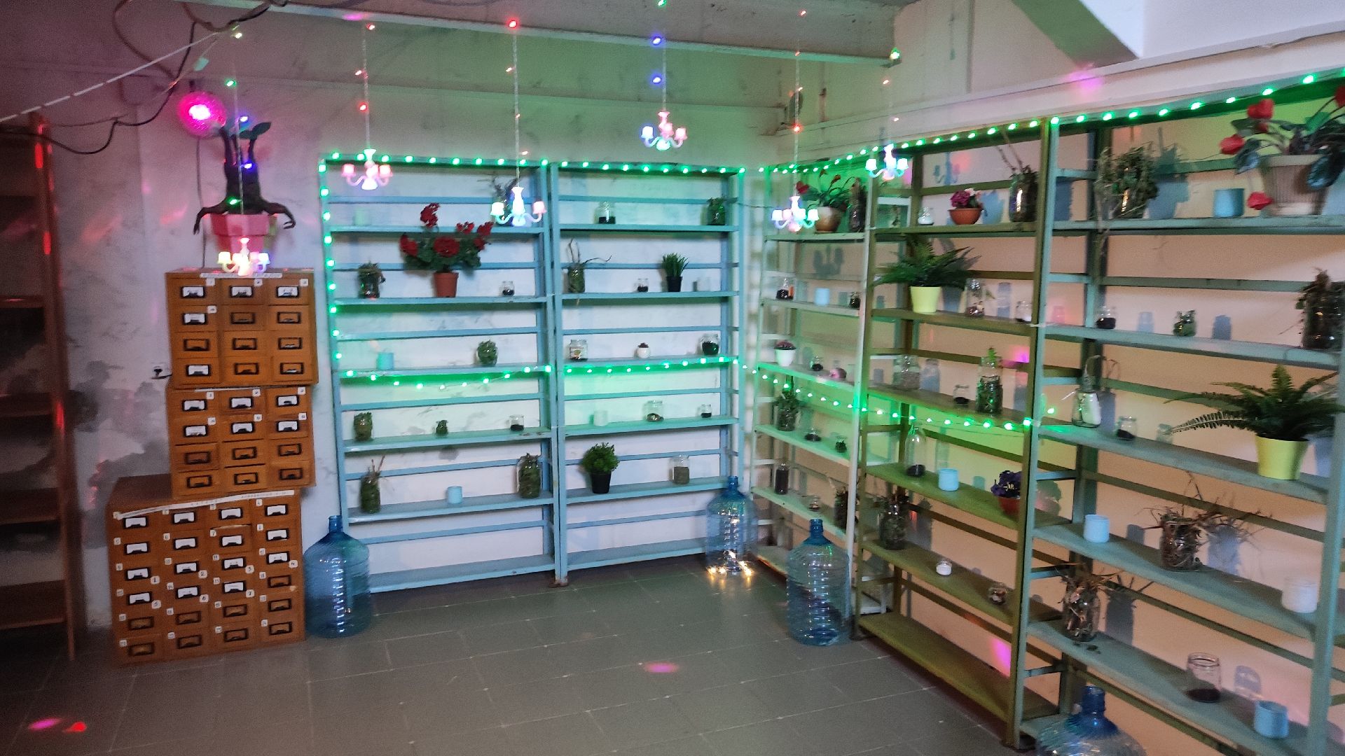 волоколамск, волоколамская библиотека, библионочь, квест, Гарри Поттер,