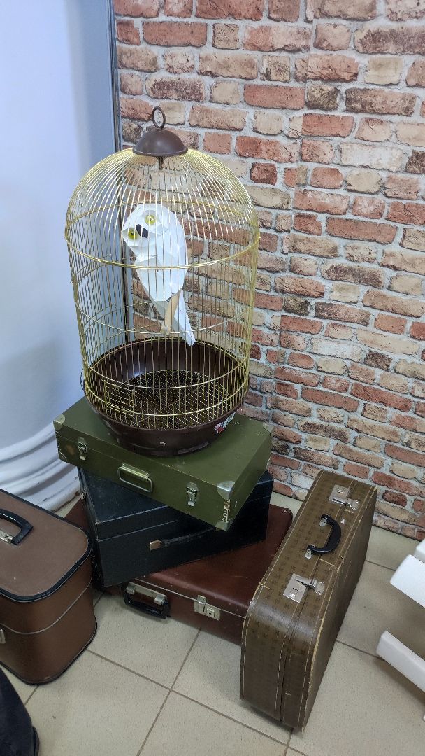 волоколамск, волоколамская библиотека, библионочь, квест, Гарри Поттер,