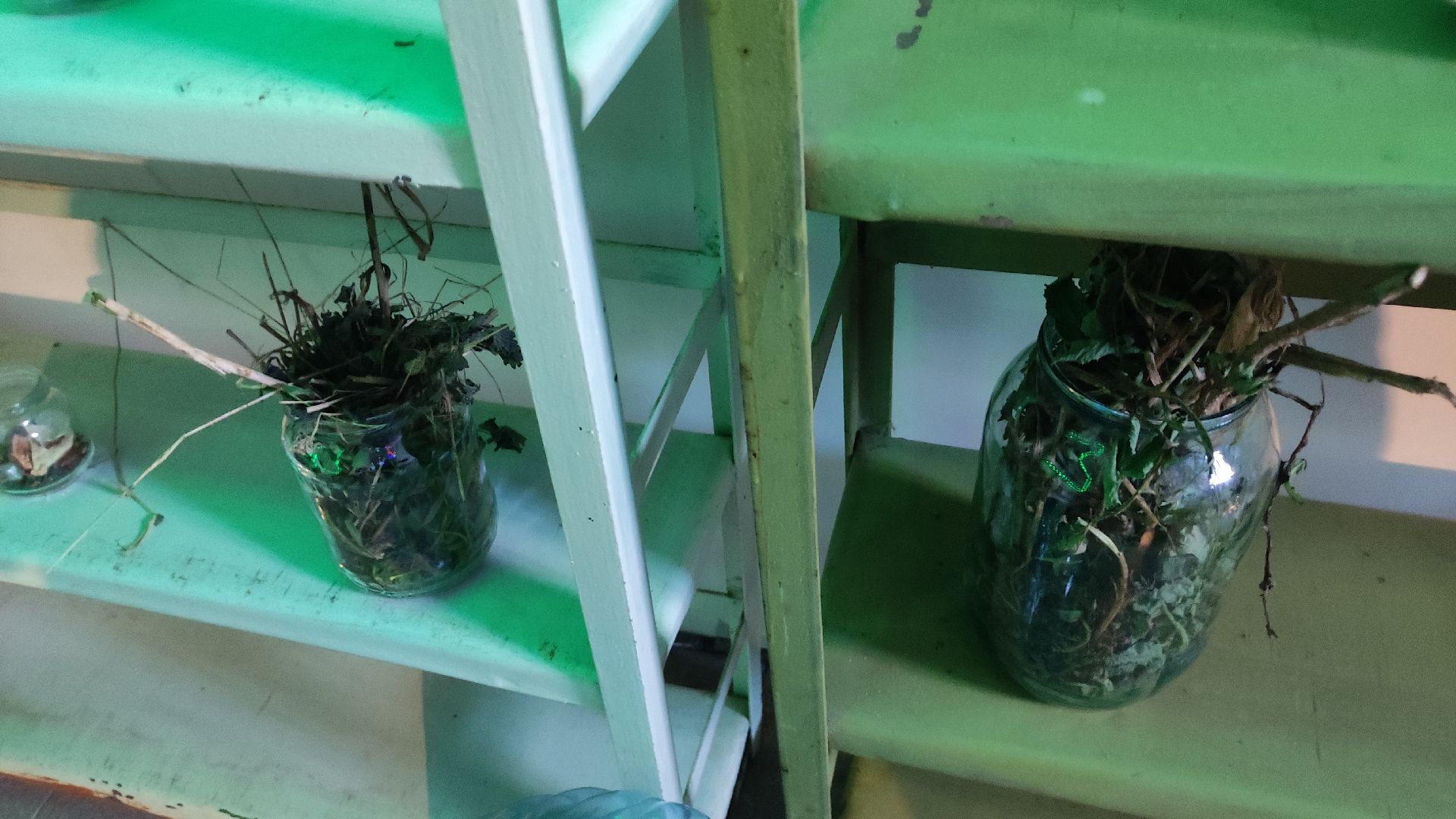 волоколамск, волоколамская библиотека, библионочь, квест, Гарри Поттер,