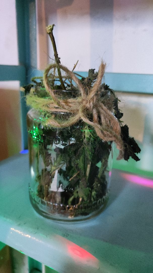 волоколамск, волоколамская библиотека, библионочь, квест, Гарри Поттер,