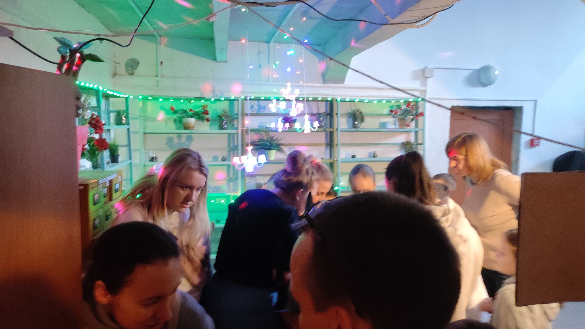 волоколамск, волоколамская библиотека, библионочь, квест, Гарри Поттер,