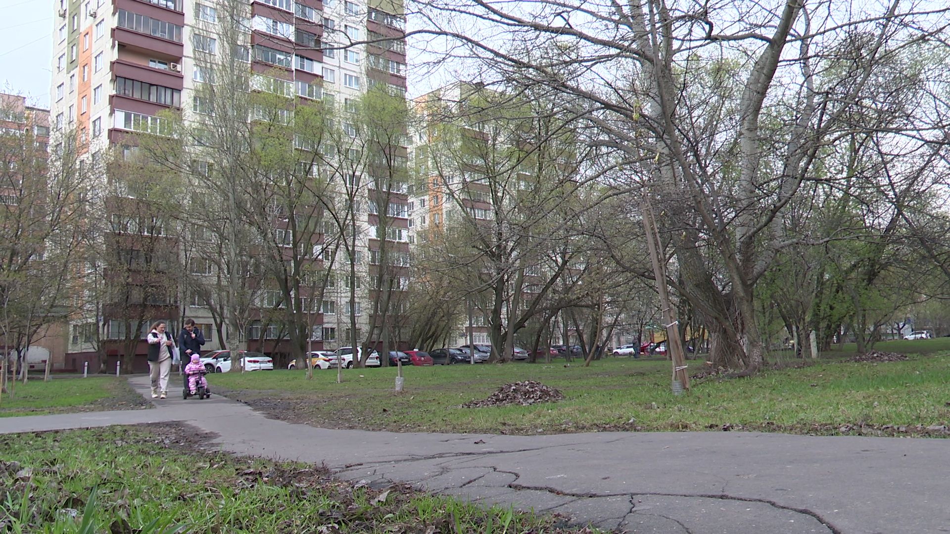 Реутов, благоустройство, народная тропа, дорожки, асфальт, бордюры,