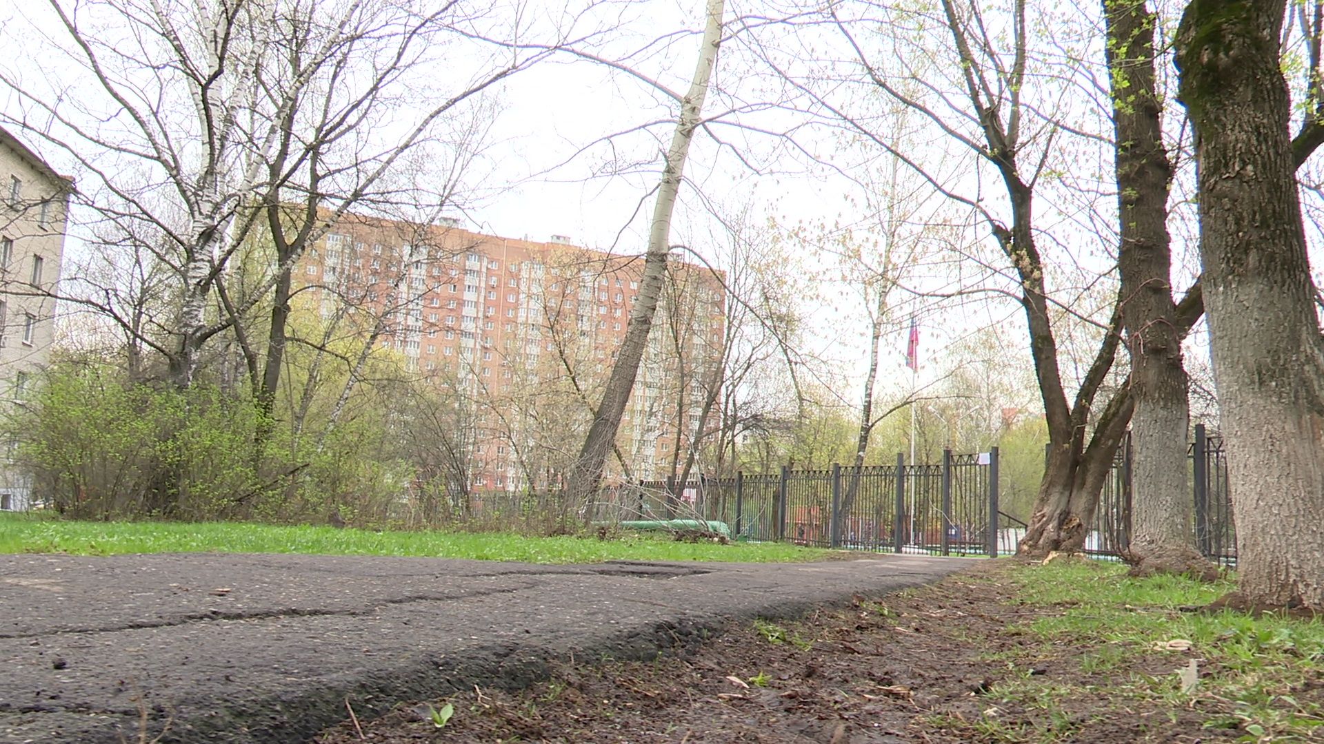 Реутов, благоустройство, народная тропа, дорожки, асфальт, бордюры,