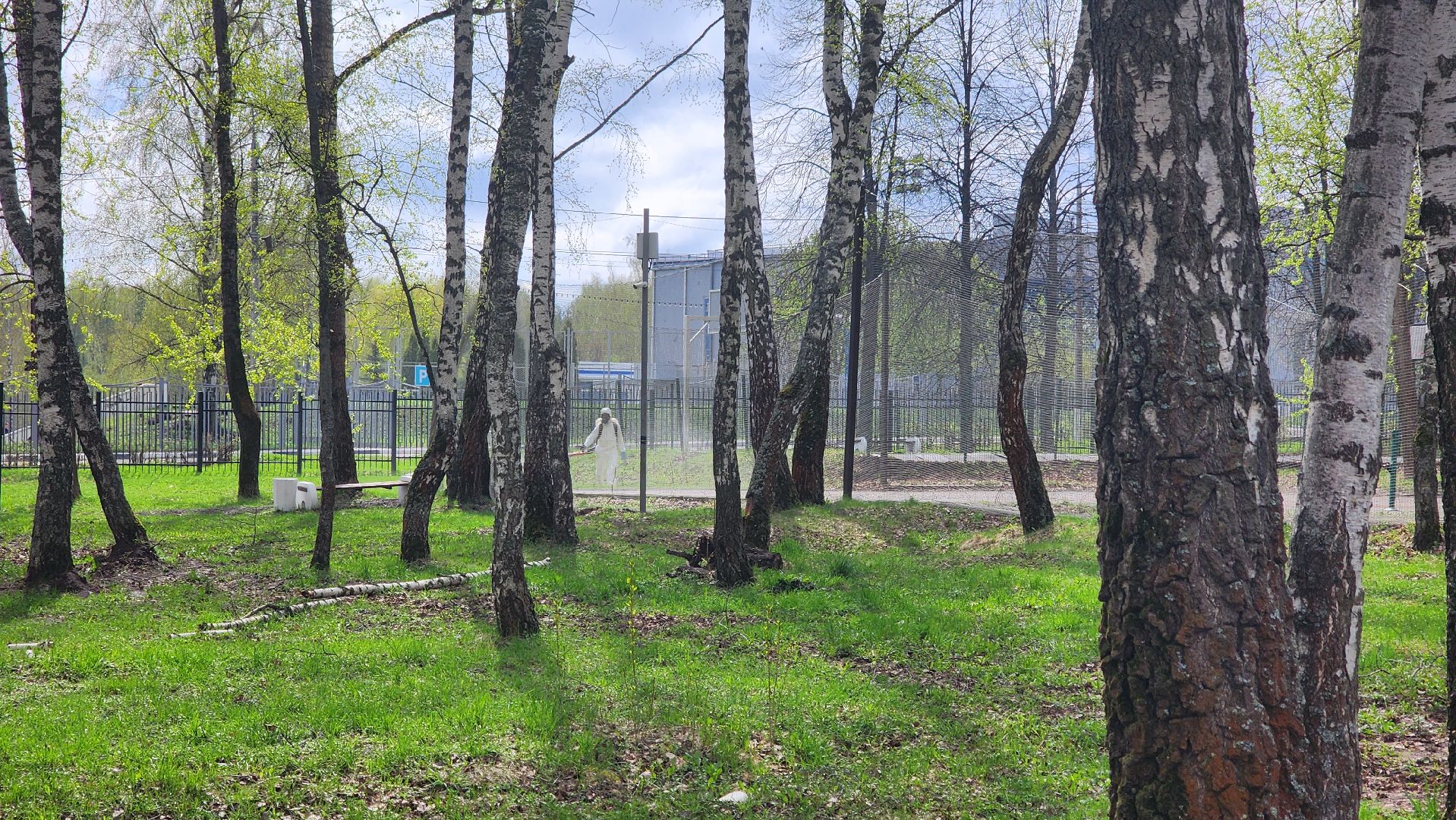 кашира, городской парк, акарицидная обработка, клещи, обработка от клещей, паразиты, профилактика заболеваний,