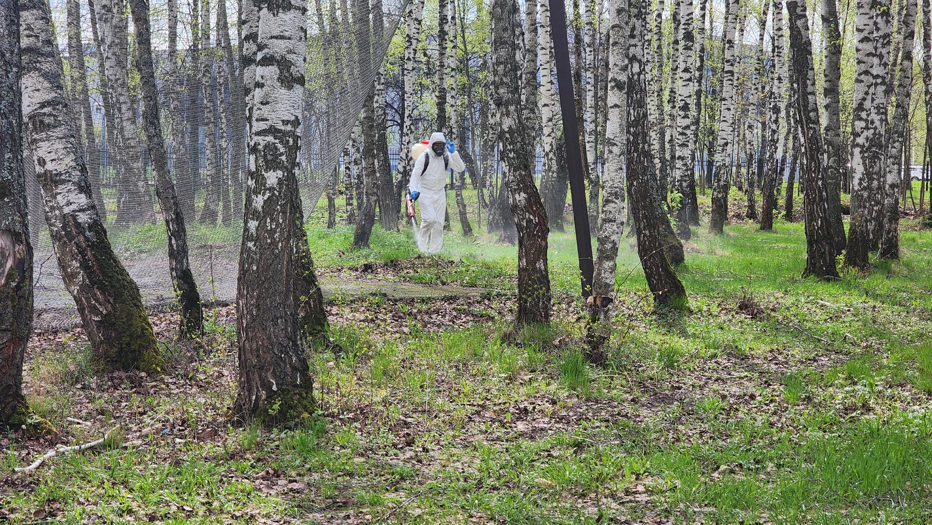 кашира, городской парк, акарицидная обработка, клещи, обработка от клещей, паразиты, профилактика заболеваний,