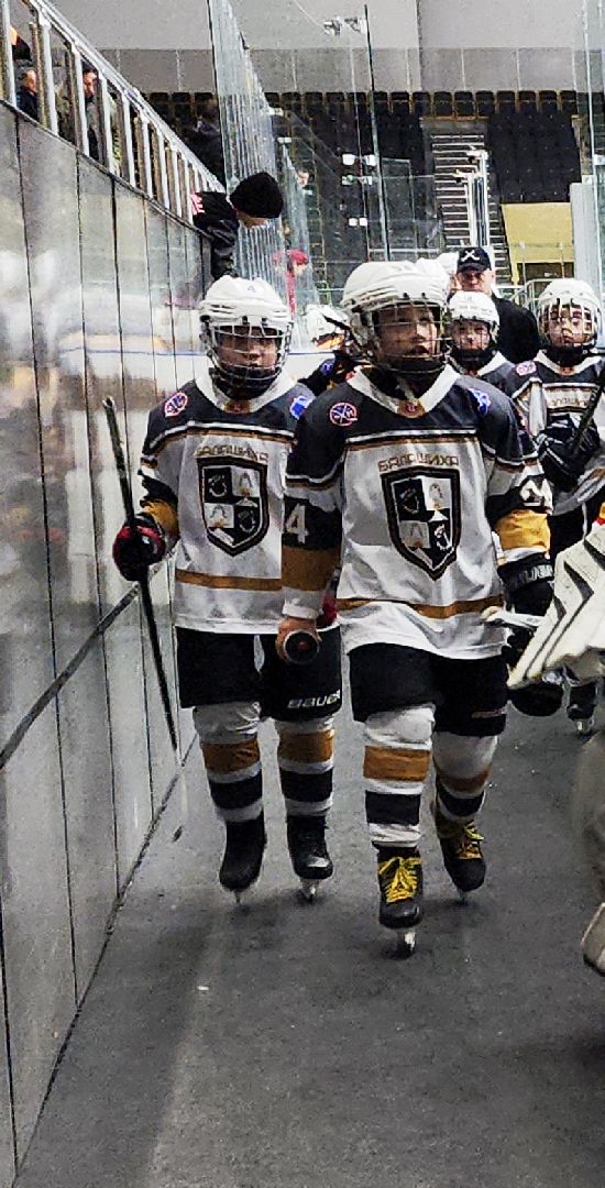 спорт, спорт в подмосковье, спорт московской области, хоккей, чемпионат по хоккею, электросталь, электросталь спортивная,