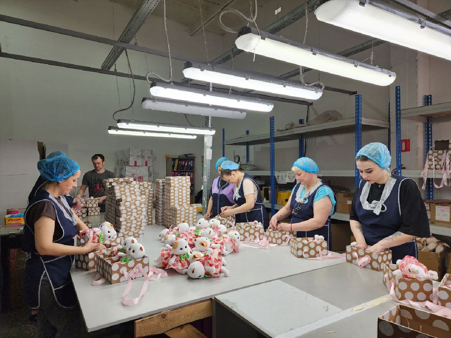 можайск, можайский городской округ, подмосковье, экономика, производство, знаменитые игрушки, коты, BudiBasa, рабочие места,