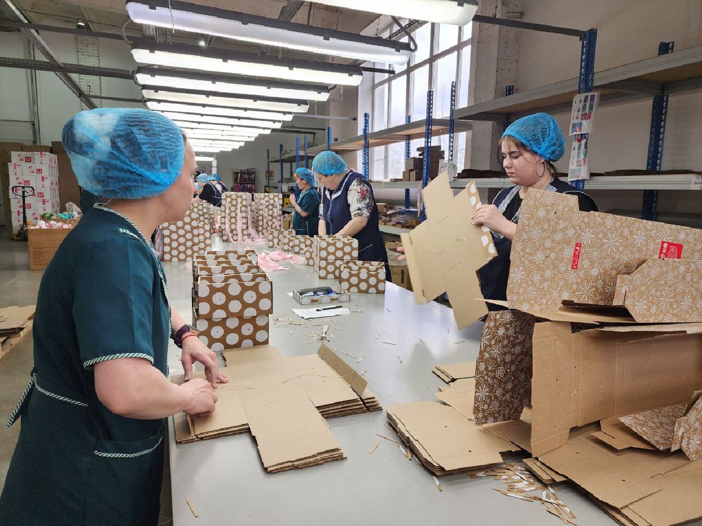 можайск, можайский городской округ, подмосковье, экономика, производство, знаменитые игрушки, коты, BudiBasa, рабочие места,