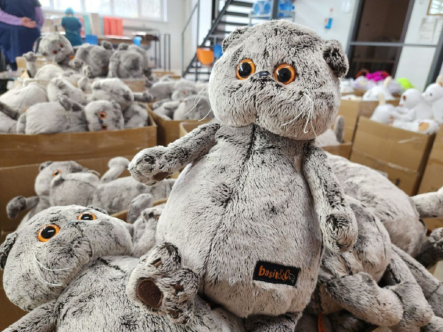 можайск, можайский городской округ, подмосковье, экономика, производство, знаменитые игрушки, коты, BudiBasa, рабочие места,