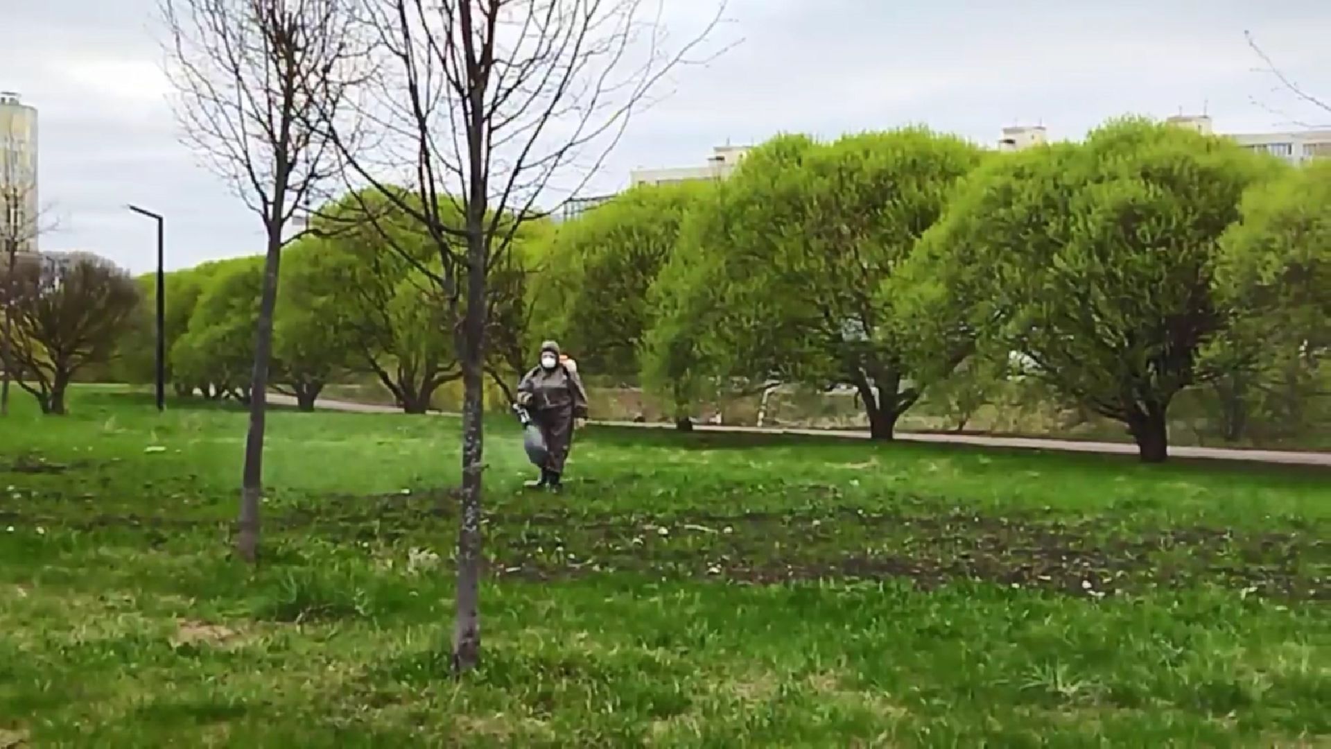 Клещи, обработка, долгопрудный