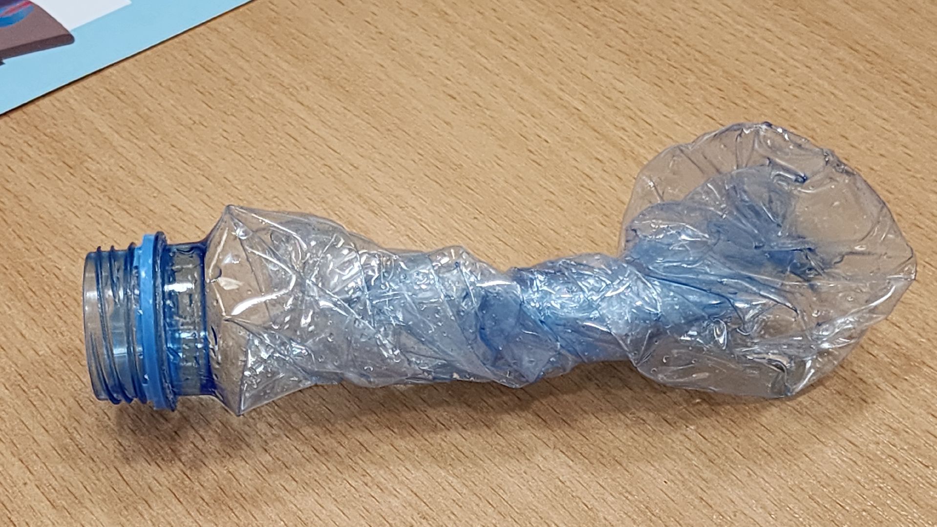 Экология, День Земли, Сортировка мусора, Пластик,