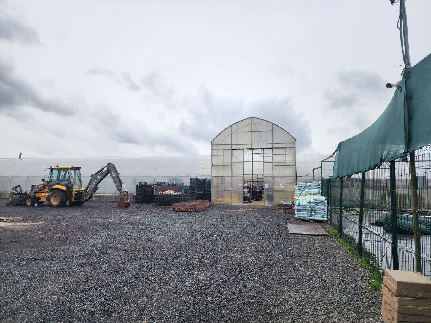 чехов, экономика, тепличный комплекс, рассада, цветы,