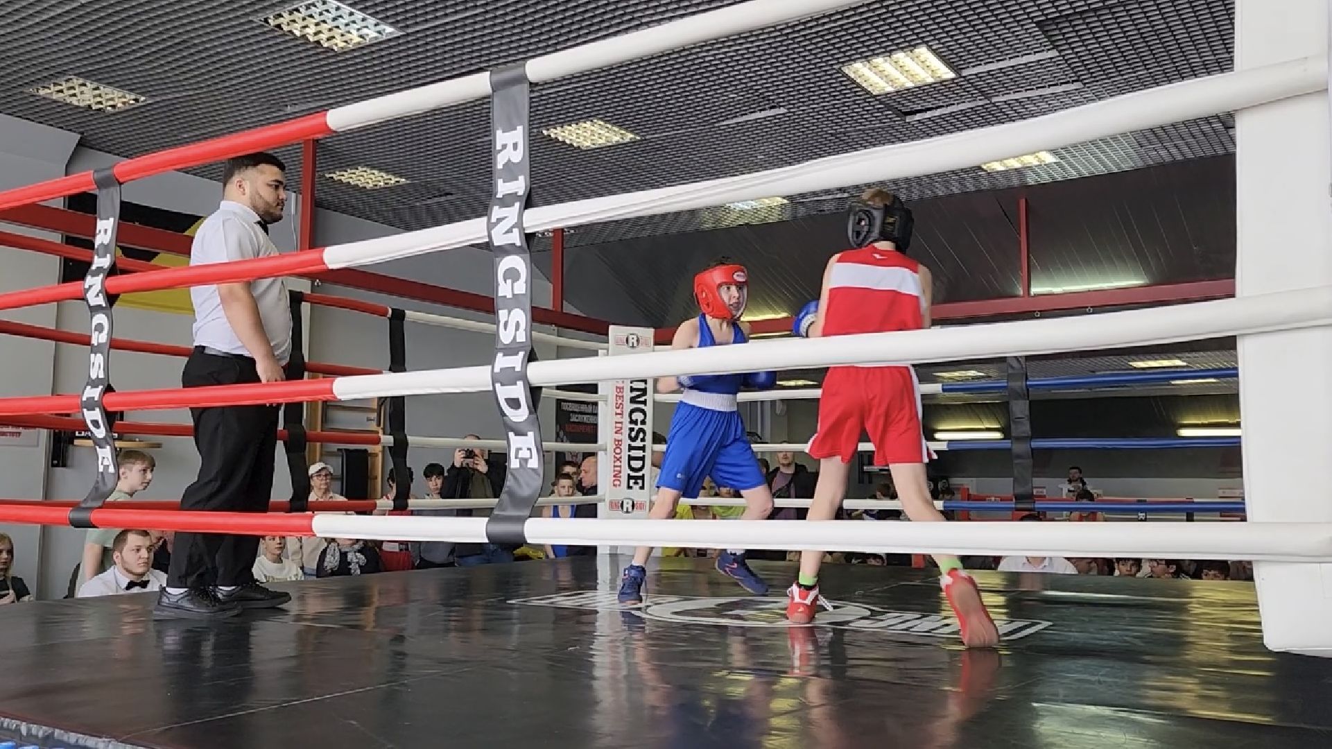 химки, спорт, бокс,