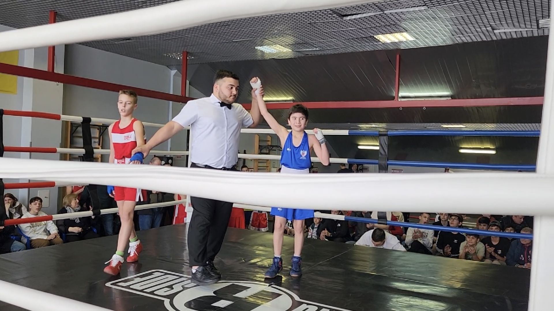 химки, спорт, бокс,