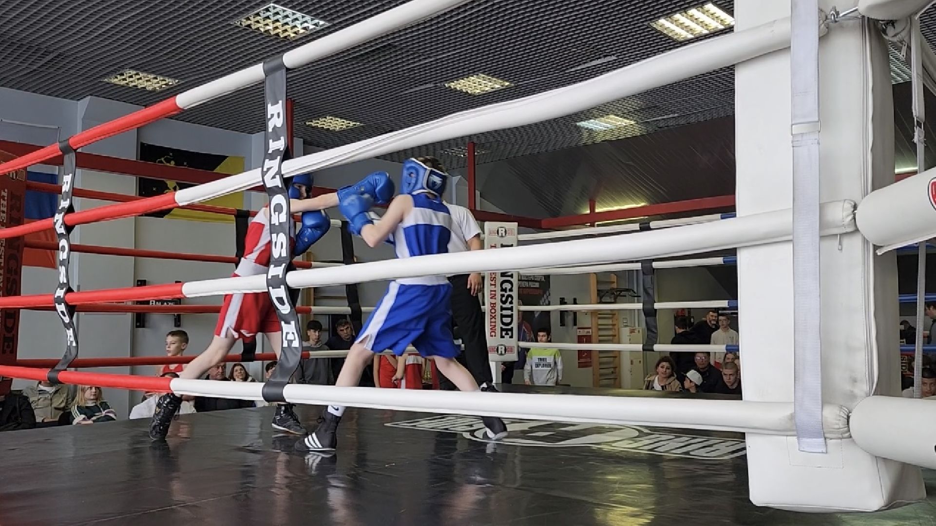 химки, спорт, бокс,