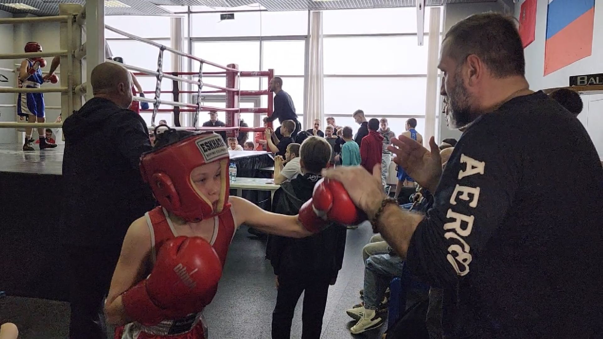 химки, спорт, бокс,