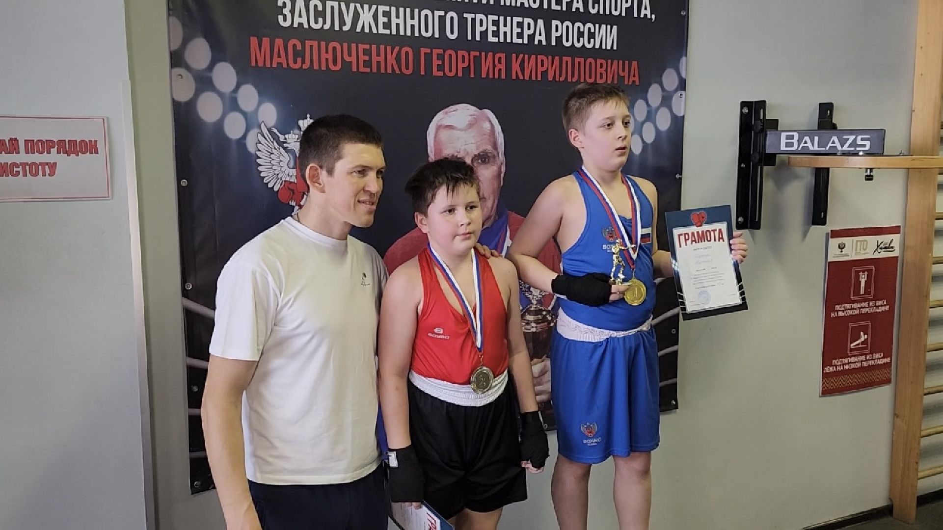 химки, спорт, бокс,