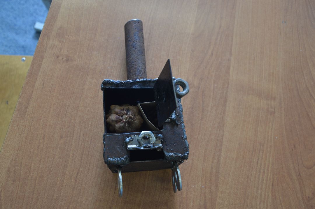 Шатура, Лицей, Большие Вызовы, Горбатов Василий, Ольга Митькина