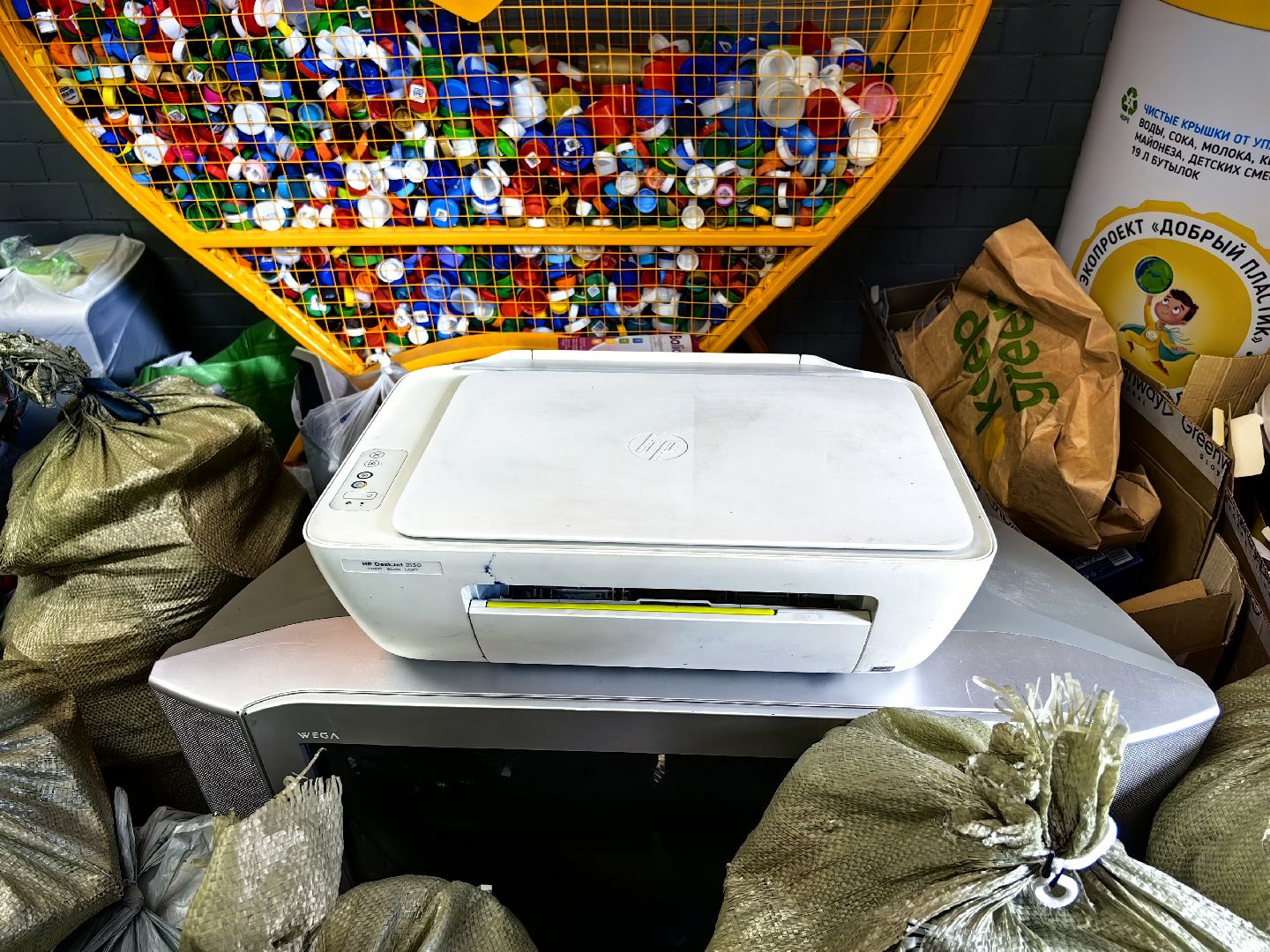 среда роста, экология, отходы, География Добра, подопечные, инвалидная коляска,