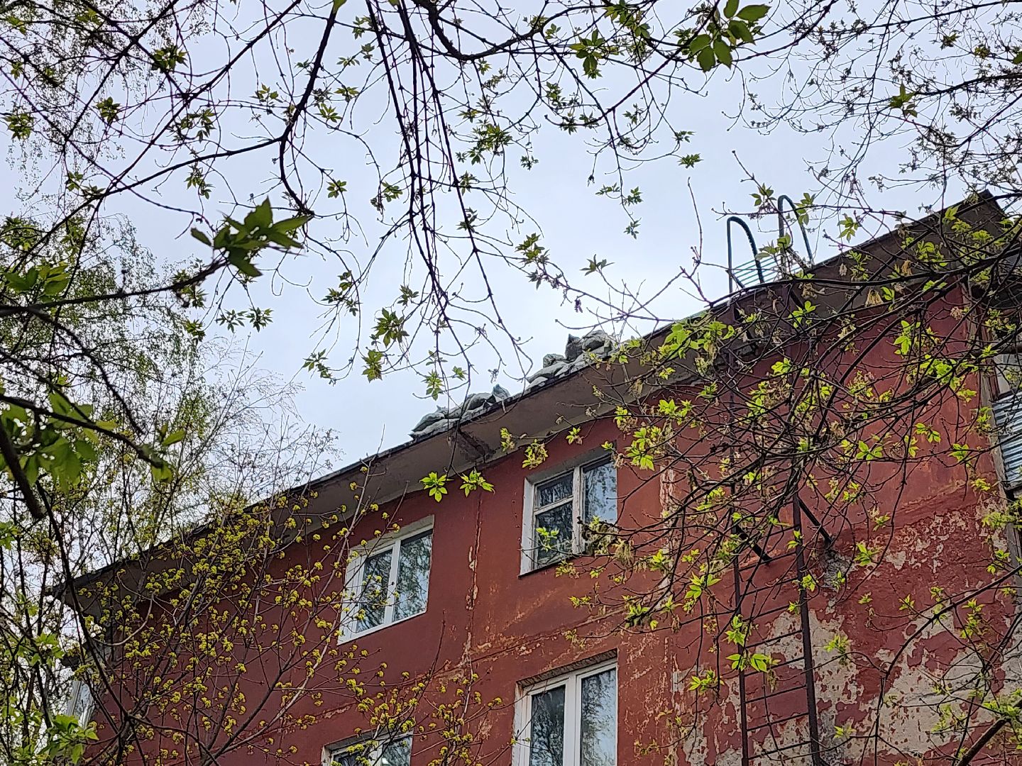 серпухов, подмосковье, ремонт кровли,