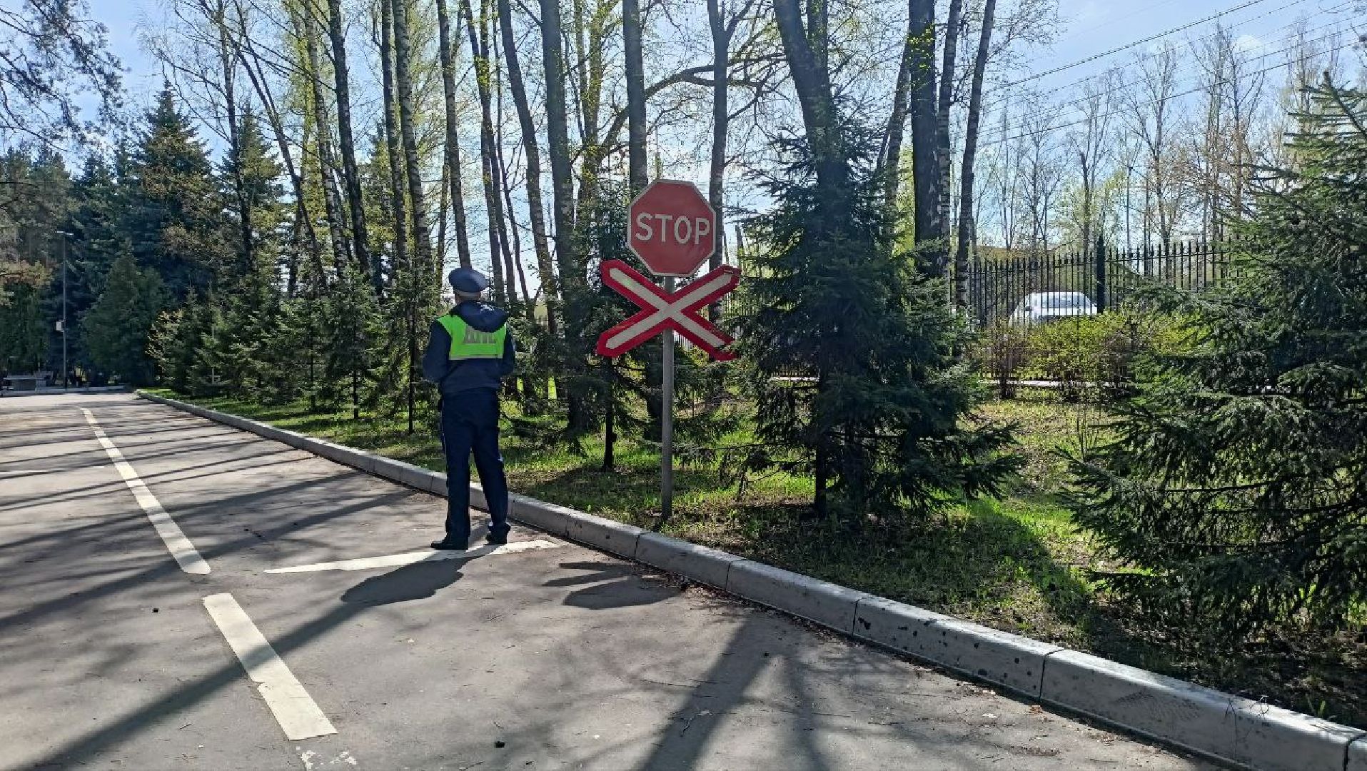 ЮИД Радар, Домодедово, Подмосковье, ОГИБДД, Безопасное колесо, Муниципальный слет, Юные инспекторы, Парк Елочки, Управление образования, Госавтоинспекция,