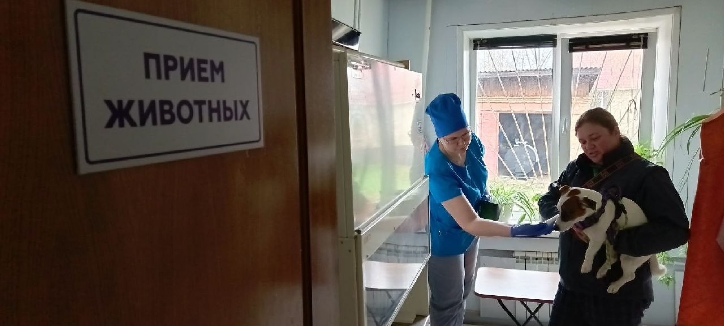 Дмитров, Государственная ветстанция,