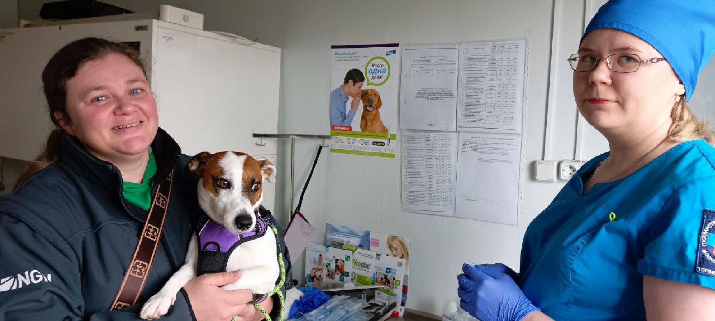 Дмитров, Государственная ветстанция,