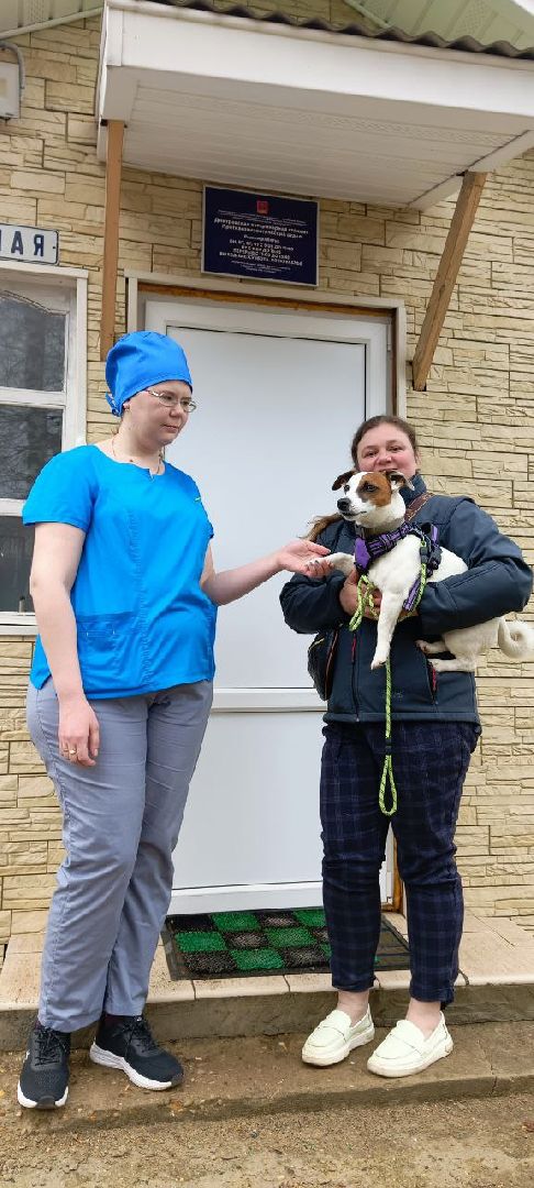 Дмитров, Государственная ветстанция,