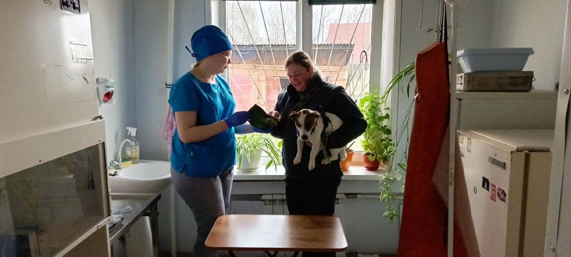 Дмитров, Государственная ветстанция,