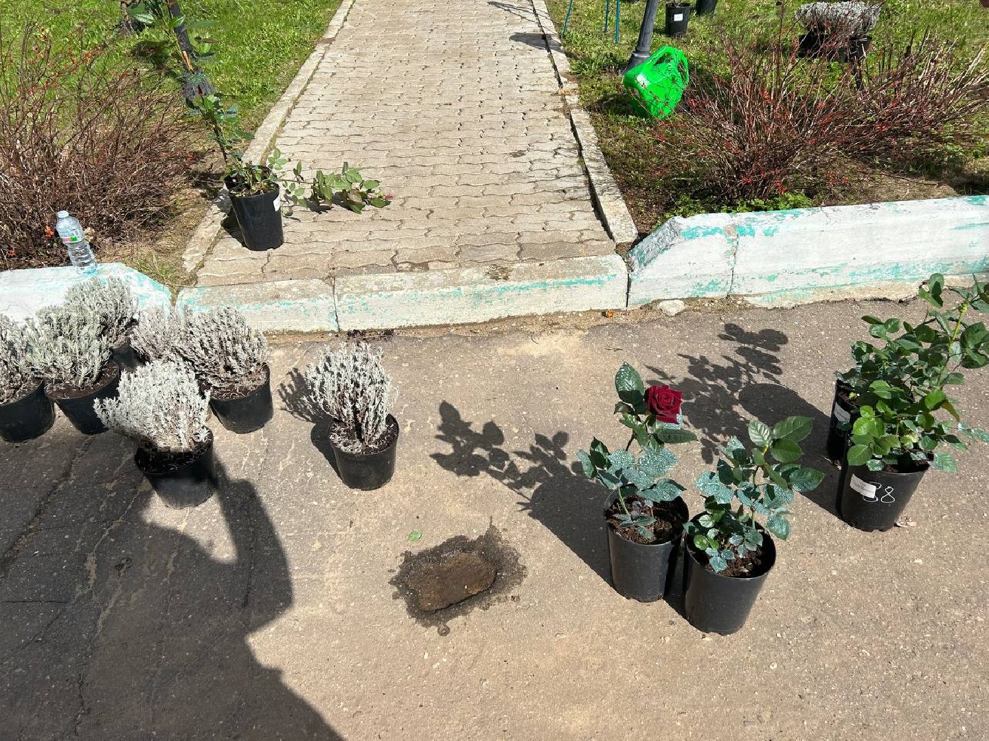 субботник, Госфильмофонд, Домодедово,